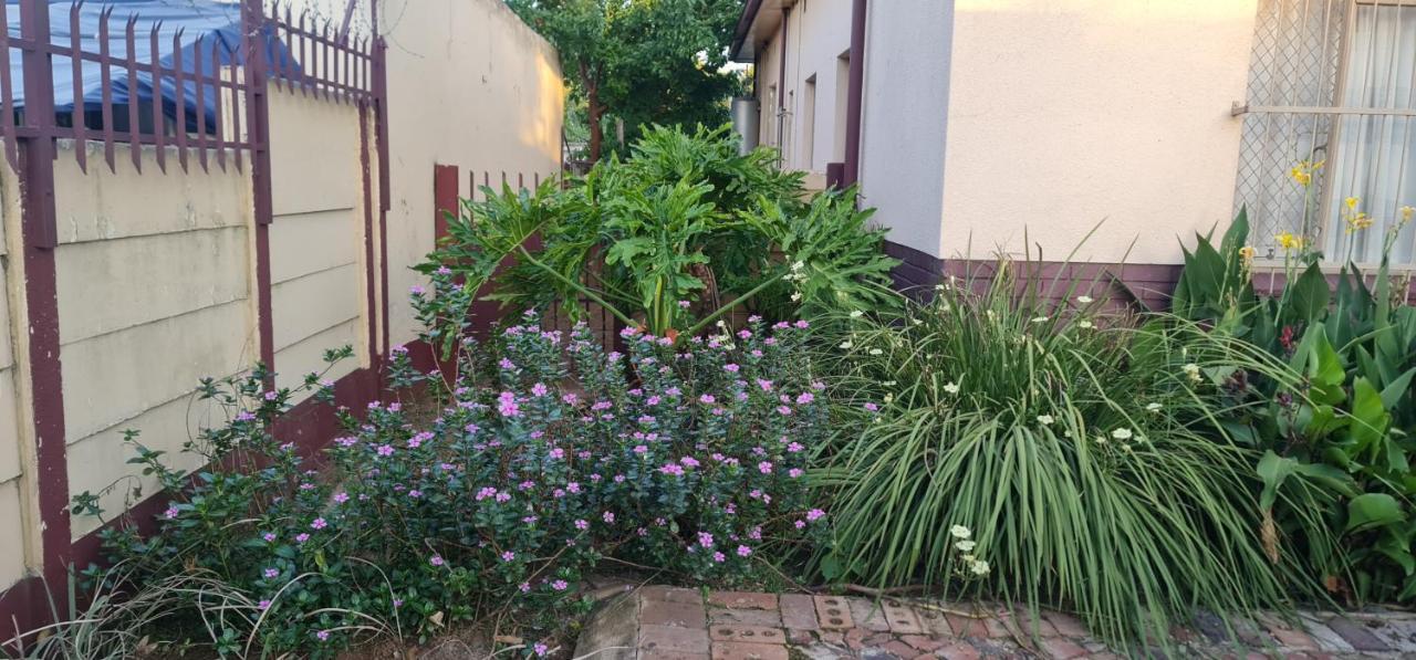 My House Guest House Pretoria Exterior photo