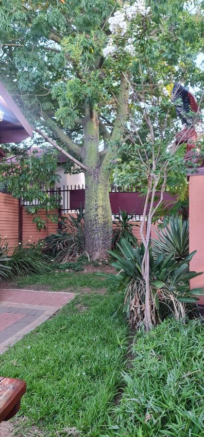 My House Guest House Pretoria Exterior photo